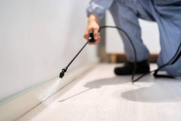 Certified termite inspector examining foundation in Blountsville