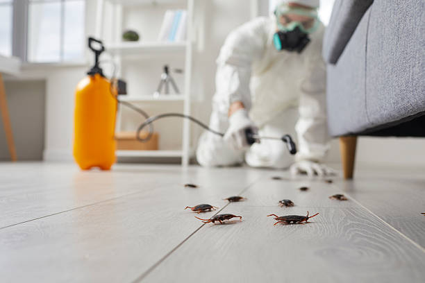 Commercial Rodent Management in Blountsville